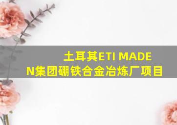 土耳其ETI MADEN集团硼铁合金冶炼厂项目